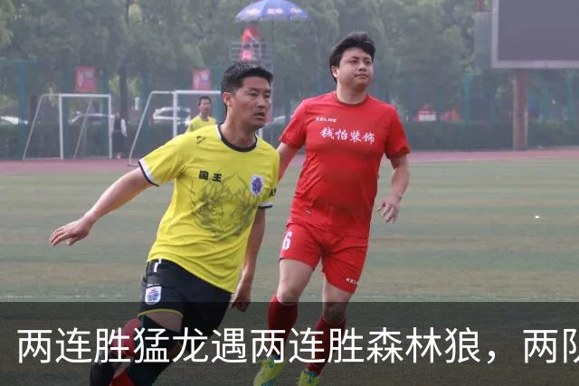 两连胜猛龙遇两连胜森林狼，两队都想保住不败金身