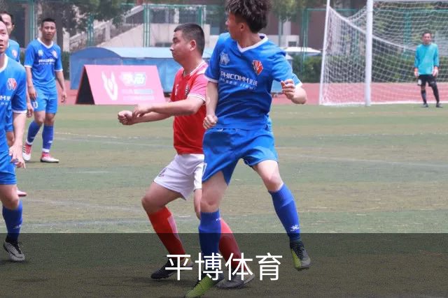 平博体育团队与办公环境