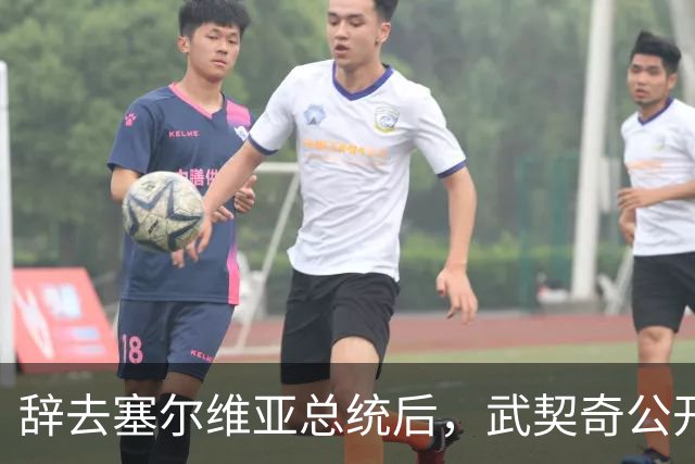辞去塞尔维亚总统后，武契奇公开作出承诺：不会对俄罗斯实施制裁